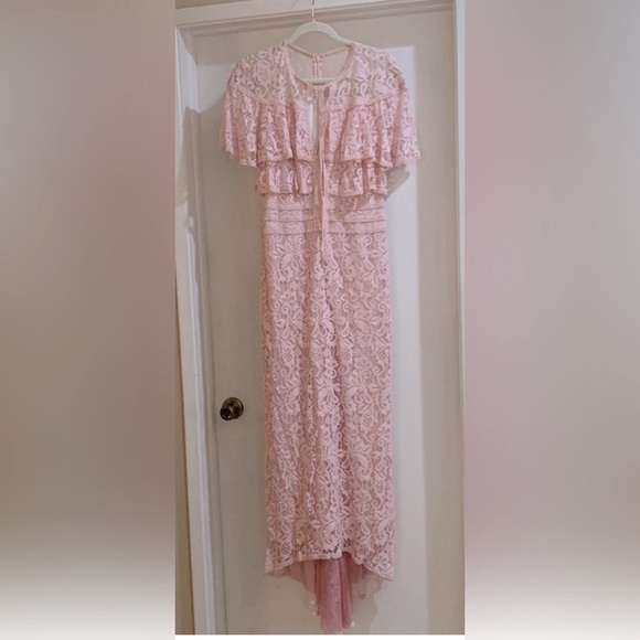 Tadoshi Shoji Aileen Lace Light Pink Lined High Low Designer Gown Size 10 - Picture 1 of 15
